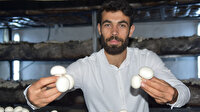 Şanlıurfalı genç uğraş olarak kültür mantarı işine girdi: Şimdi siparişleri yetiştiremiyor