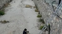 İtfaiye sulama kanalına düşen köpeği kucağına alarak çıkardı