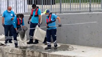 Kadıköy Belediyesi'nden müsilajla ilginç mücadele: Bir temizlik personeli ağ ile Kurbağalıdere'den deniz salyası topladı