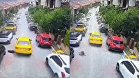 İstanbul'da sarı taksi dehşeti: Köpeği ezen vicdansız şoför arkasına bile bakmadan kaçtı
