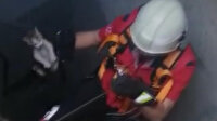 Asansör boşluğuna düşen kediyi itfaiye kurtardı