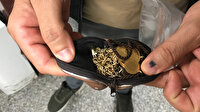 Bodrum'da hastane otoparkında buldu: Polis ekiplerinde teslim etti