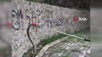 Gümüşhane'de kent merkezinde bulunan yılanlar itfaiye tarafından doğaya bırakıldı