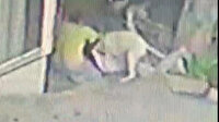 Başakşehir’de pitbull dehşeti: 16 yaşındaki Mine'ye 2 pitbull saldırdı