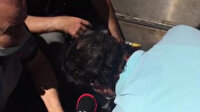 Ayağı yürüyen merdivene sıkışan süs köpeğini kurtarmak için seferber oldular