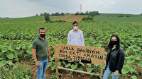Almanya'dan memleketine gelince şaşkına döndü: Tarlasına izinsiz ekim yapan kişiyi 'tabela'yla arıyor