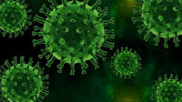 Hindistan'da Delta Plus koronavirüs mutasyonun vakaları 40'a yükseldi