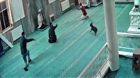 Camiye giren köpek cemaate korku dolu anlar yaşattı