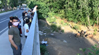 'Kapalı gişe oynuyor': Sarıyer'de 'domuz izleme' tribünü dikkat çekiyor
