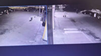 Sarıyer'de vahşet: Köpeği zehir sürülmüş saçma mermisi ile öldürdü