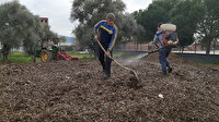 Herkes 'çöp' diye yakıyordu: Çok değerli bir gübre olduğu ortaya çıktı