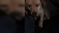 Kayseri'de kargo aracına gizlenmiş 10 kilo esrar ele geçirildi