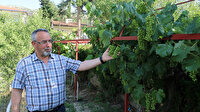 Yağmur suyu hasadıyla 5 yılda 1000 ton su tasarrufu yaptı