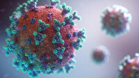 'Delta Plus' varyantı nedir? 5 soruda Kovid-19'un 'Delta' ve 'Delta Plus' varyantına ilişkin merak edilenler