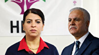 HDP'li Sibel Yiğitalp'den İYİ Partili Koray Aydın'a: Irkçılığınızda boğulun