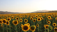 Tunceli'den Trakya'ya anlık yolculuk