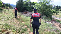 Pendik'te korkunç olay: 17 köpek işkence yapılıp zehirlenerek telef edilmiş