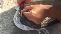 Gagasına misina dolanan martı amatör balıkçı tarafından kurtarıldı