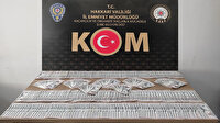 Hakkari'de 48 bin 100 dolar ele geçirildi