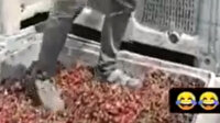 Afyonkarahisar'daki mide bulandıran görüntülere para cezası