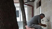 Çevre dostu şadırvan: Ağaçları kesmeye gönülleri el vermedi