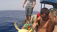 Denizlerdeki atıklar canlıların hayatını tehdit ediyor: İplere takılan deniz kaplumbağasını balıkçılar kurtardı