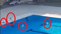 Mudanya’da olimpik yüzme havuzu martılara kaldı