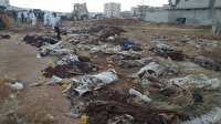 Afrin’de PKK vahşeti: Onlarca sivilin cansız bedeni toplu mezardan çıktı!