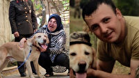 Şehit onbaşının gazi köpeği 'Atmaca' ailesine sahiplendirildi: Sanki yavrumdan bir parça geldi