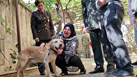 Şehit onbaşının gazi köpeği 'Atmaca' ailesine sahiplendirildi: Sanki yavrumdan bir parça geldi