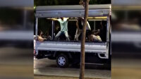 Kamyonet kasasında dans eden gençlerin tehlikeli yolculuğu kamerada