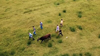 Kesilmekten son anda kurtuldu, drone’den kaçamadı