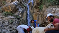 Küçükbaş hayvanların şelale banyosu