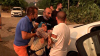 Manavgat'taki yangında ineğinin yandığını düşünen yaşlı kadın fenalık geçirdi