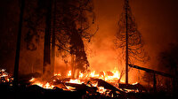 ABD tarihinin en büyük yangını: Kaliforniya'daki yangın kontrol altına alınamıyor
