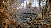 Brezilya'daki Amazon ormanları artık dünyanın ciğeri değil: 926 kilometrekarelik alan yandı