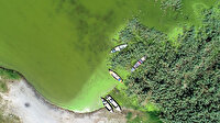 Uluabat Gölü alg patlaması: Rengi yeşile döndü