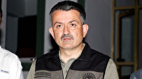 Tarım ve Orman Bakanı Bekir Pakdemirli: Son ateş sönene kadar devam