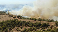 Tarım ve Orman Bakanı Pakdemirli açıkladı: 2 ildeki yangınlar kontrol altına alındı