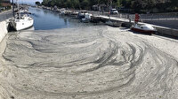 Uzmanlar ve balıkçılar arasında tartışma: Marmara Denizi'nde av sezonu ertelenmeli mi?