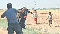 Evde arı istilası: 10 kişilik aileyi itfaiye kurtardı
