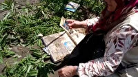 Bozkurt'ta yürek burkan görüntü: Dört kişilik aileden geriye fotoğraf albümü kaldı