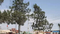 Kabil'de Taliban kontrolü altında yaşam