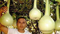 Hobi olarak başladı şimdi siparişlere yetişemiyor
