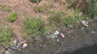 İstanbul Sadabad Deresi'ndeki koku ve kirliliğe vatandaş tepki gösterdi: 2 yıldan beri devam eden bir koku var