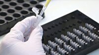 Yarım saatte 94 PCR testi