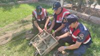 Kahramanmaraş'ta 33 saka avına rekor ceza