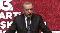 Cumhurbaşkanı Erdoğan: Meral Hanım sen 'Zulüm 1453'te başladı' diyenlerle berabersin yolun açık olsun