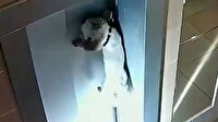 Asansör kapısına sıkışan köpek böyle kurtarıldı