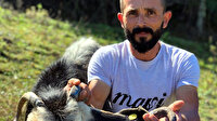 Keçisinin fotoğrafını paylaştıktan sonra köylerden akın akın görmeye geldiler: İnceleyince şok olduk Allah'ın işi işte